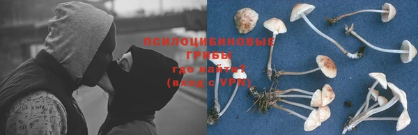 скорость Осинники