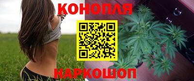 сатива Аргун