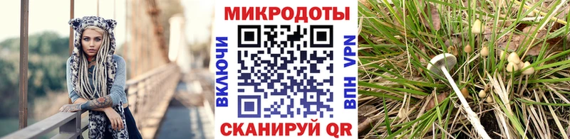 Галлюциногенные грибы мицелий  хочу наркоту  Апрелевка 