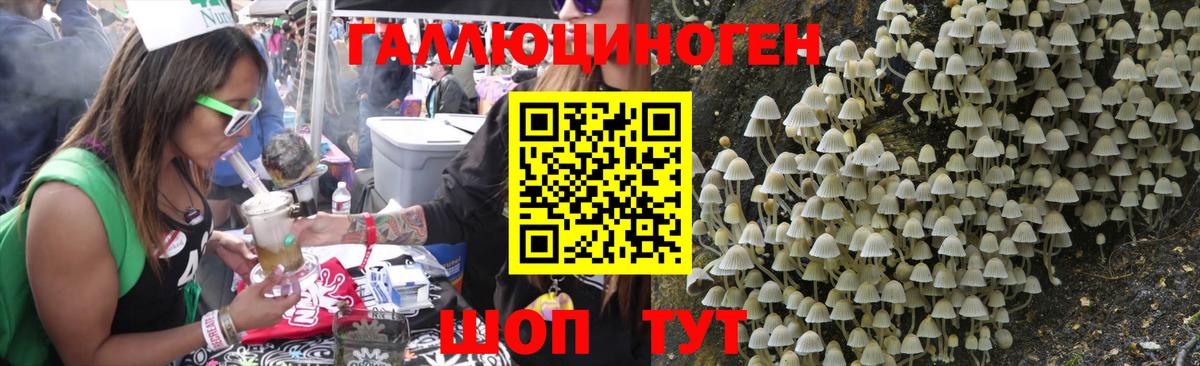 Апрелевка  Псилоцибиновые грибы Psilocybe  Вход с VPN  Галлюциногенные грибы ЛСД 
